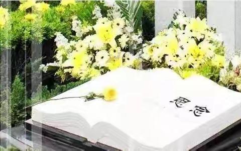 横西小学党支部开展清明节网上祭英烈主题教育活动