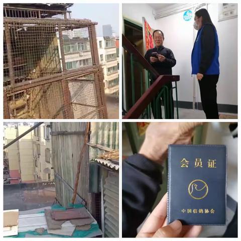 【爱筑燕巢】燕子山小区社区听诉求、解矛盾、促和谐