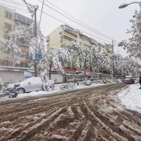 【爱筑燕巢】燕子山小区社区“冰雪无情 爱暖人心”应对极端天气在行动