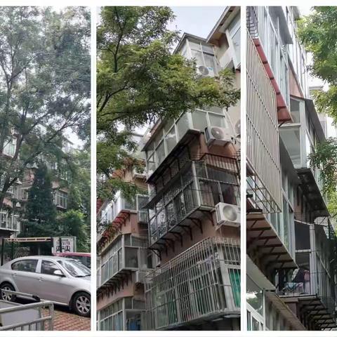 我为群众办实事——组织为居民修剪树枝