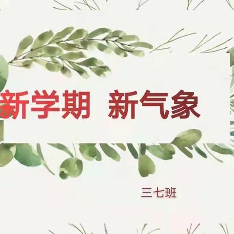 线上交流   共促成长——三七班线上家长会