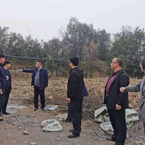 李杰深入龙泉、集店督察“住宅式”墓地整治工作进度