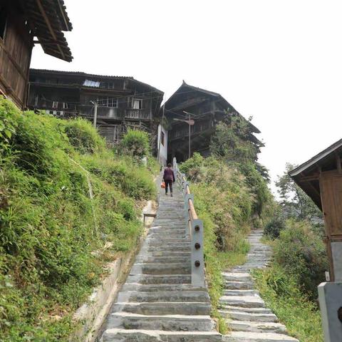 重阳节遐思