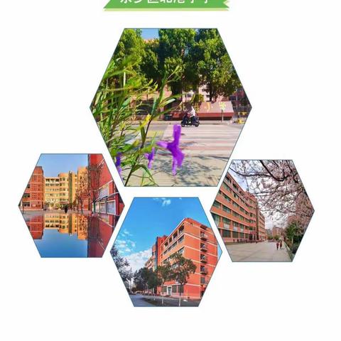 快乐寒假 安全不放假——北港小学寒假安全教育