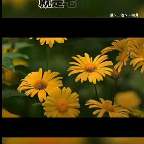 中元节