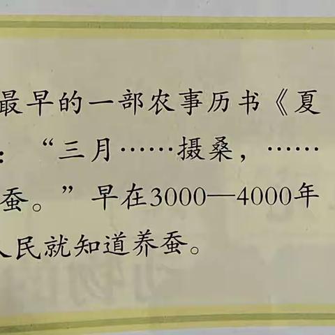 动物的一生——东桥镇中心小学四（2）班湘科版科学下册实践化作业