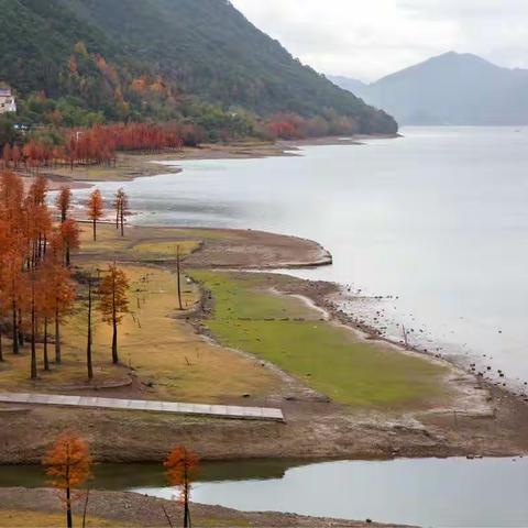 冬日秋景       行摄长潭湖