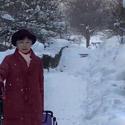 踏雪