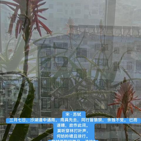 定风波 打卡医院 2023-12-28 By @Mr.Ancient TownCN