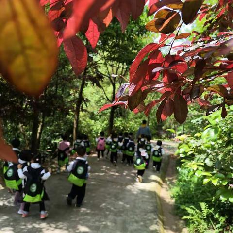 你若盛开，蝴蝶自来——小二班的“蛹宝宝”