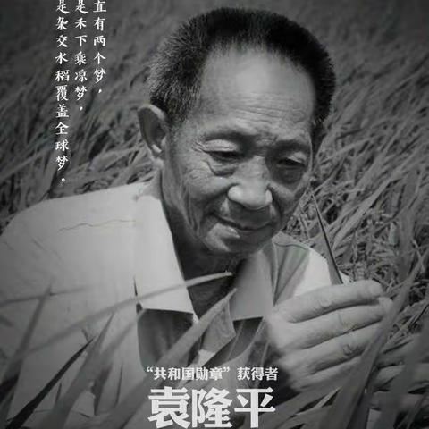 “一粒种子改变一个世界”---深刻缅怀袁隆平院士主题班会