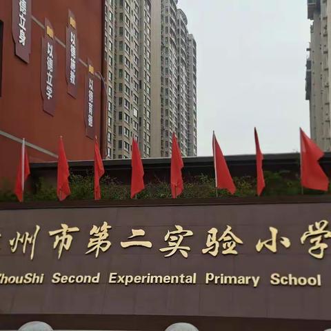 教育之巅，我们一直在路上——二实小学习心得