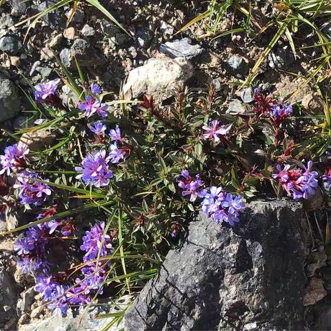 花甲“玩童”挑战新藏线（四）
