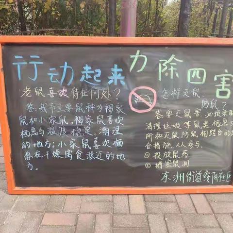 绥阳社区开展秋季除四害活动