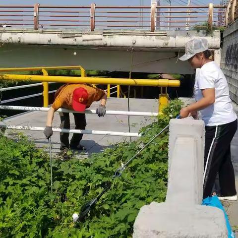 绥阳社区清理东洲河沿河垃圾