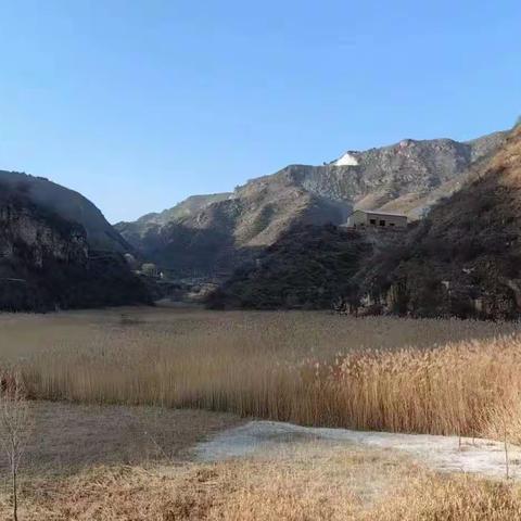 尾矿库治理