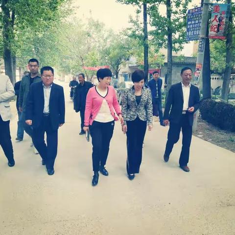 淮阳县人大副主任孟华一行四人来黄集乡叶瓦房进行调研