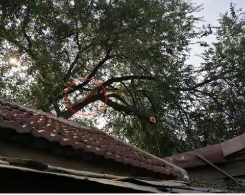 平时多操心 居民少忧心