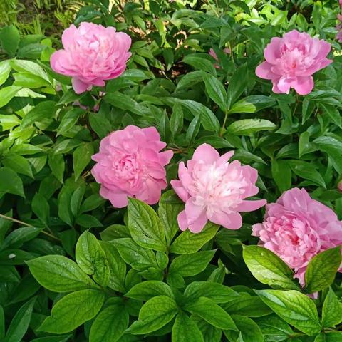 风暖花开等你来