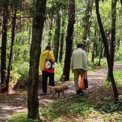 徒步戈贾森林公园