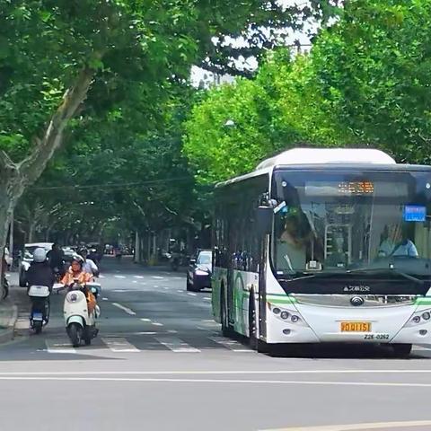 曹杨新村兰溪路（一）