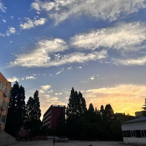 高一八班   正值青春，怎不拼搏！