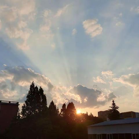 风雨无阻，一路长虹-高一（8）班