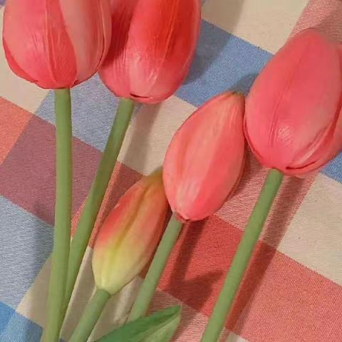 四年级成长周报之第15周