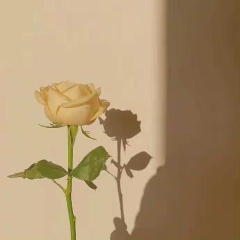 四年级成长周报之第9周