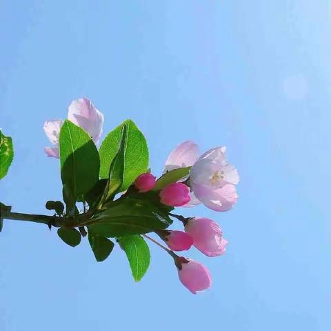 四年级成长周报之第10周