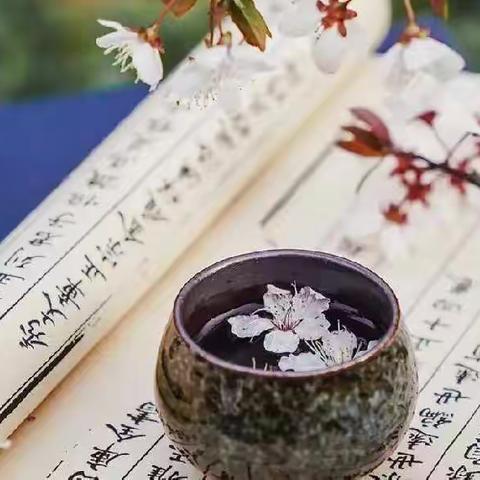 鱼日姑娘的“教学碎碎念”（5）