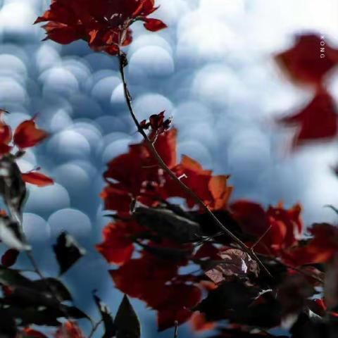 鱼日姑娘的“教学碎碎念”（4）