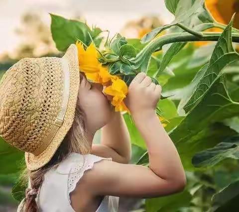 四年级成长周报之第14周