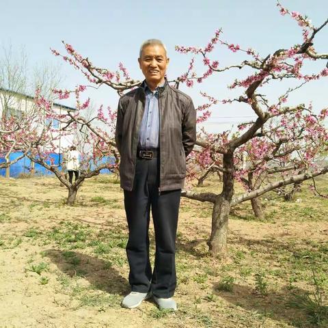 张敏儒书法作品选辑(一)