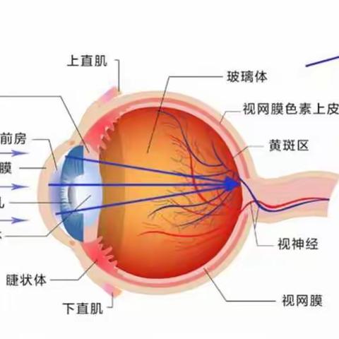 清河县中医院眼科推出精品防蓝光眼镜 点进来了解更多