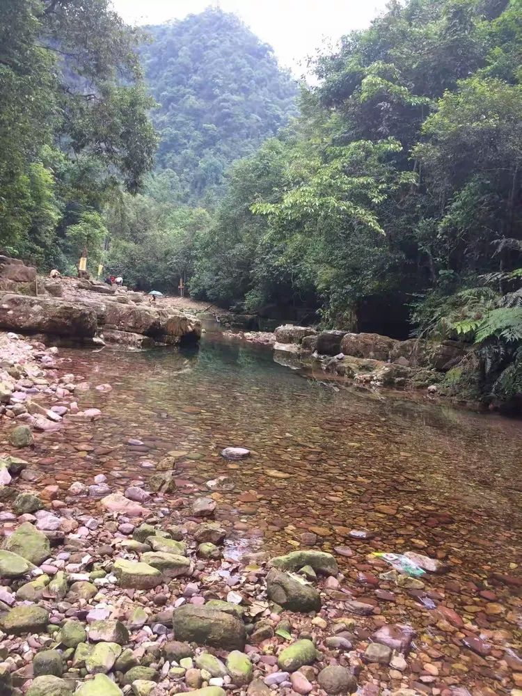 桂平紫荆十八河一日游