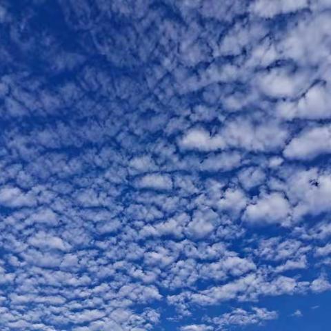 还我们一个文明美好的空间！