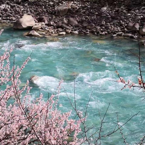 寻觅桃花源之旅