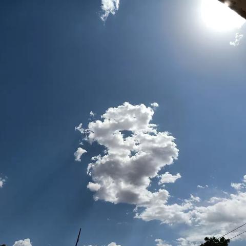 沧海浮云的美篇