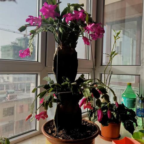 沧海浮云的美篇