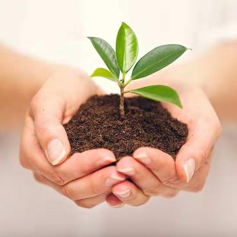 金秋正当时，教研诗意浓（副本）