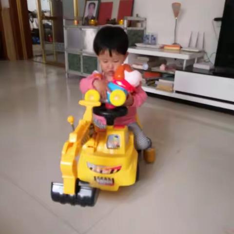 豆豆的快乐时光