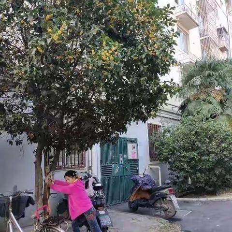 迟到的香气