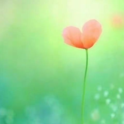 【树德小学】质量分析明方向，交流总结促提升——树德小学2021年期末质量监测活动