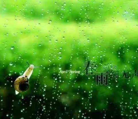 棋文小组诗歌朗诵