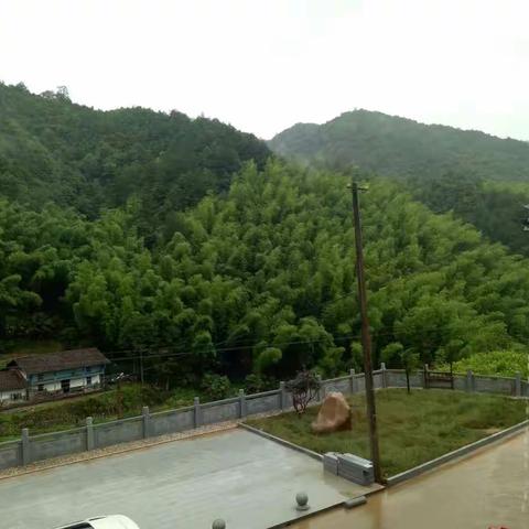 广丰区科协在铜钹山管委会举办茶叶种植加工技术培训班