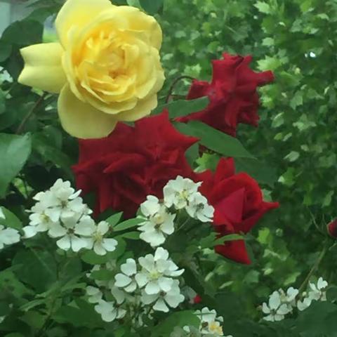 我见过的美丽瞬间