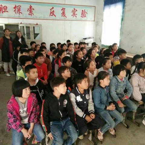 前王楼小学开展防溺水安全教育，组织全体学生观看防溺水《孩子，你不是一条鱼》！