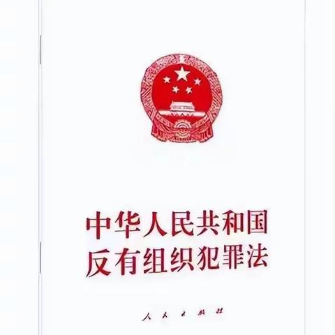 漳州市金沙小学——关于《反有组织犯罪法》宣传学习活动