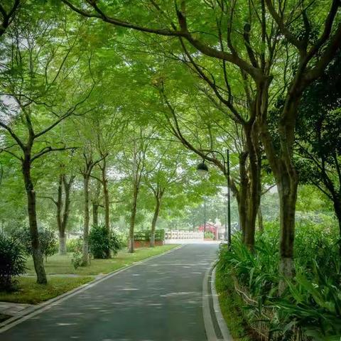 "夏日炎炎，时光静美"我的暑假生活――七(10)班陈思语